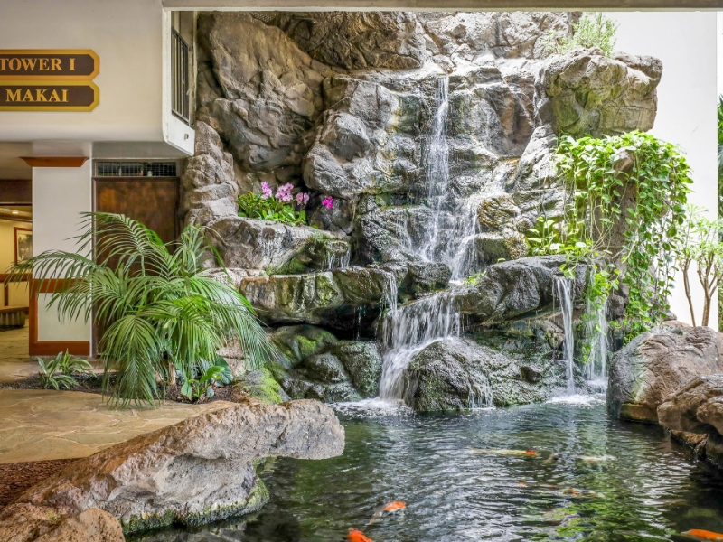 Koi Pond