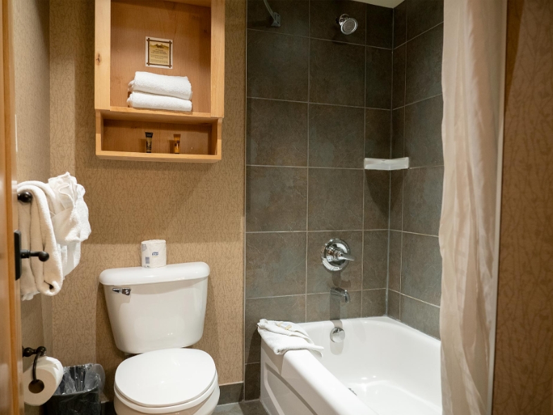 Standard Hotel Room Two Doubles