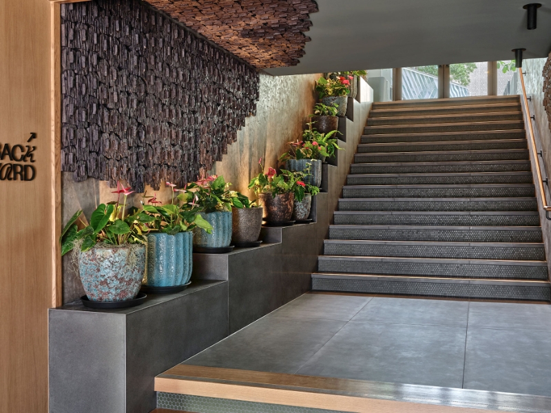 Backyard Entrance