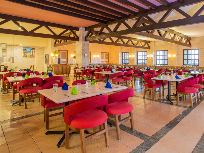 Cafe Solaris