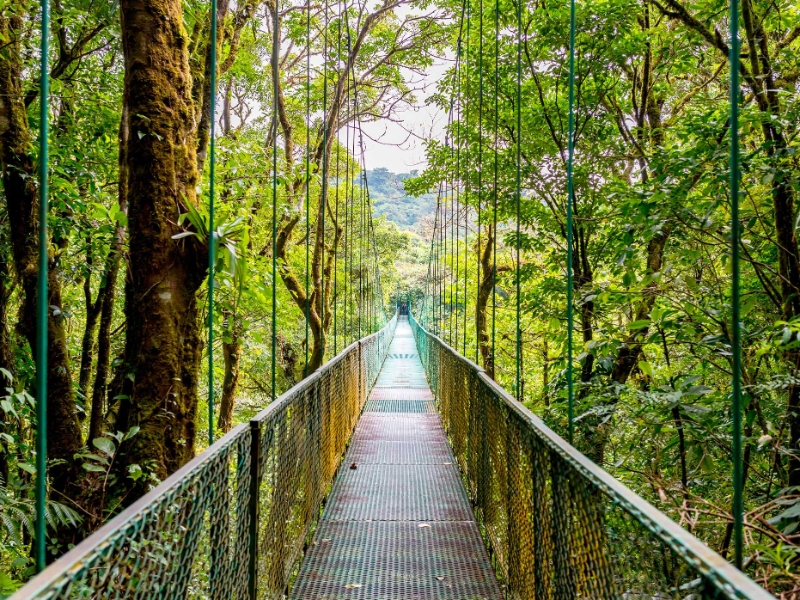 Monteverde