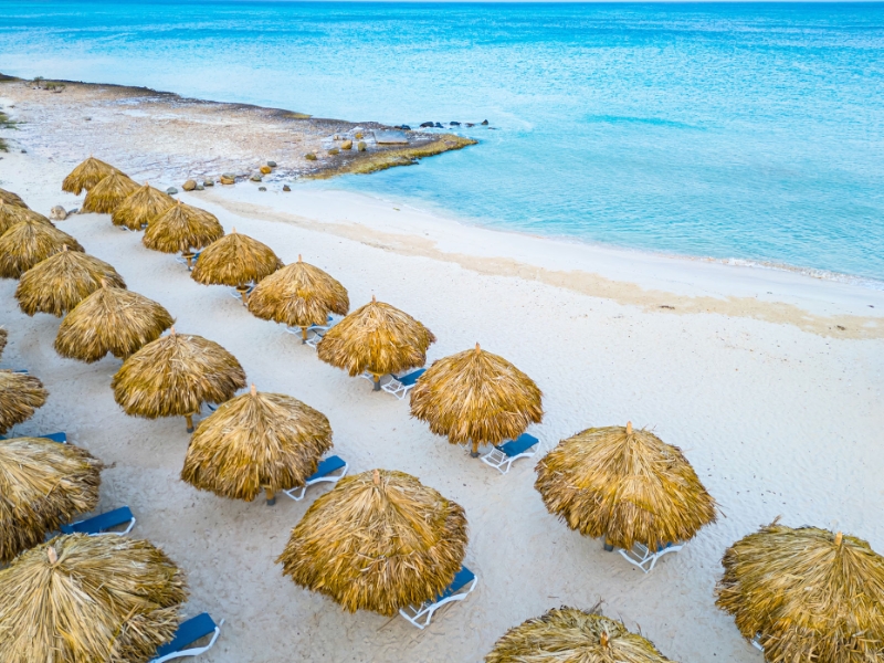 Beach Palapas