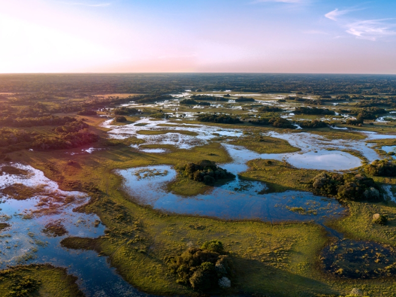 Pantanal