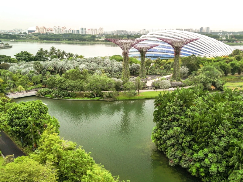 Singapore Botanic Gardens