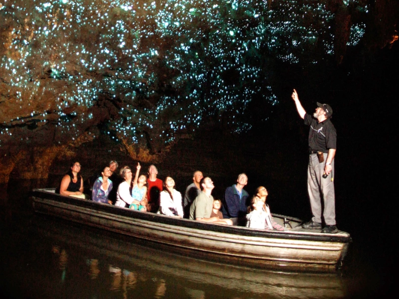 Boat Tour