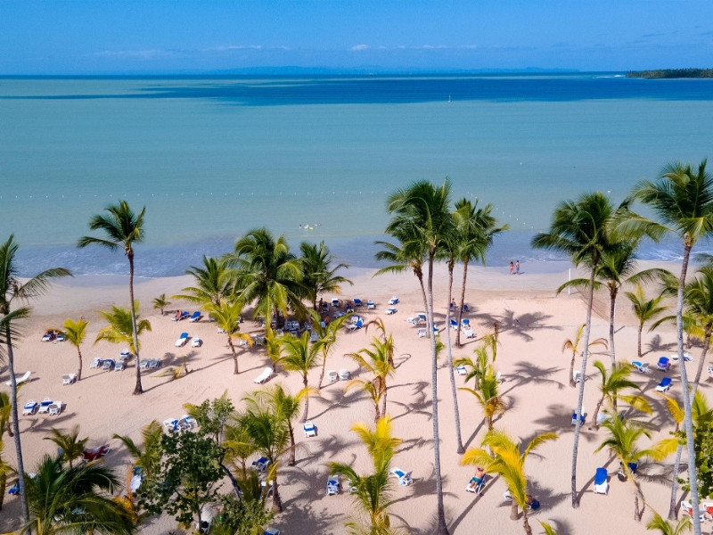 Beach Aerial View