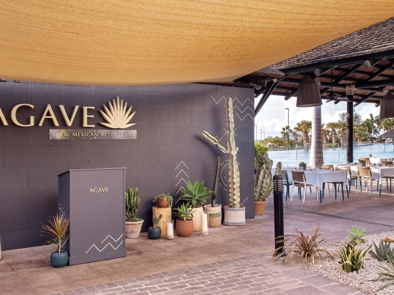 Agave Restaurant