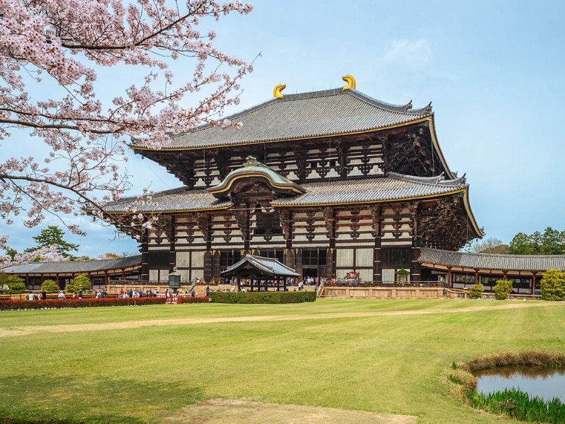 Great Buddha Hall Nara Japan