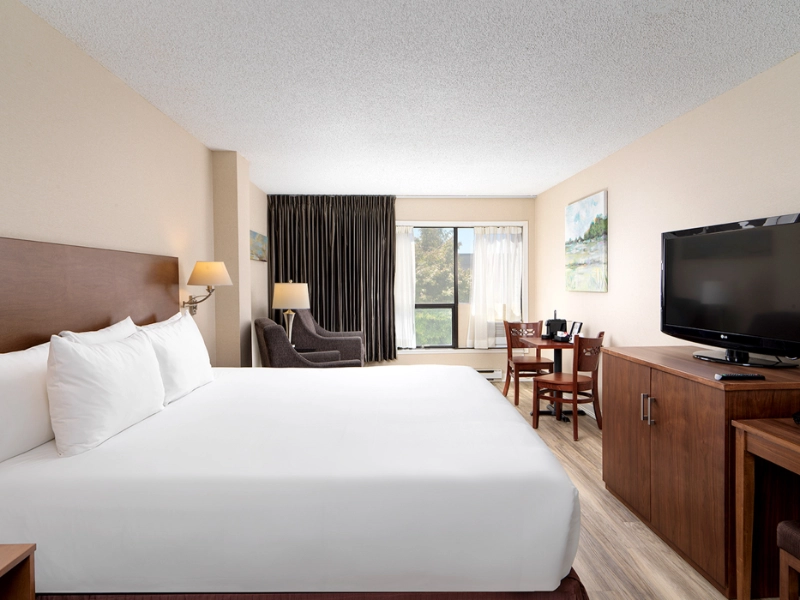 Standard Room One King Bed