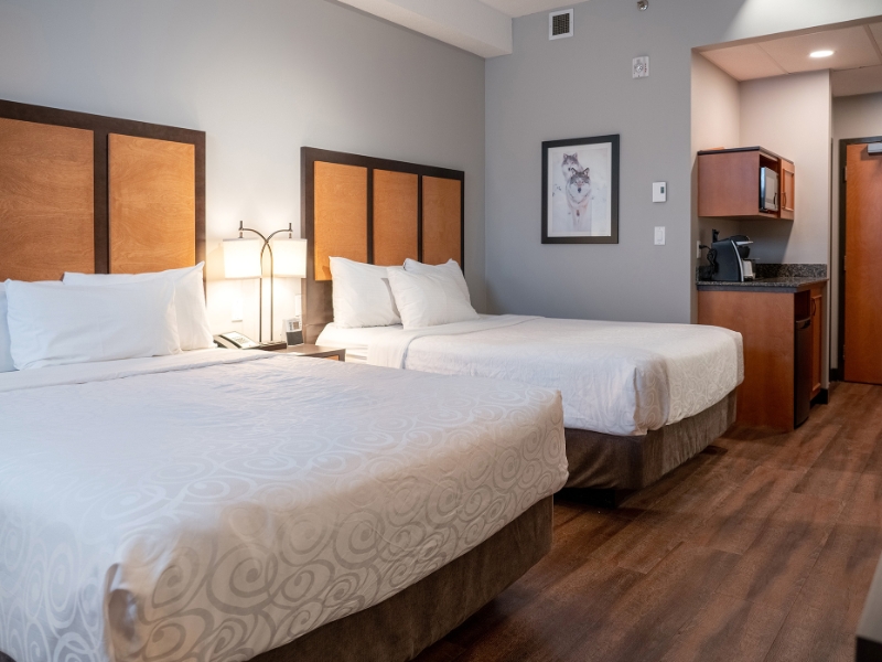 Standard Hotel Room Two Queens