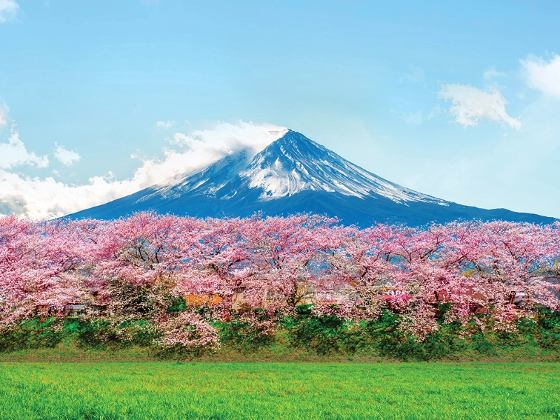Mount Fuji