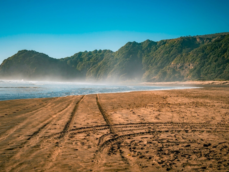 Piha Beach