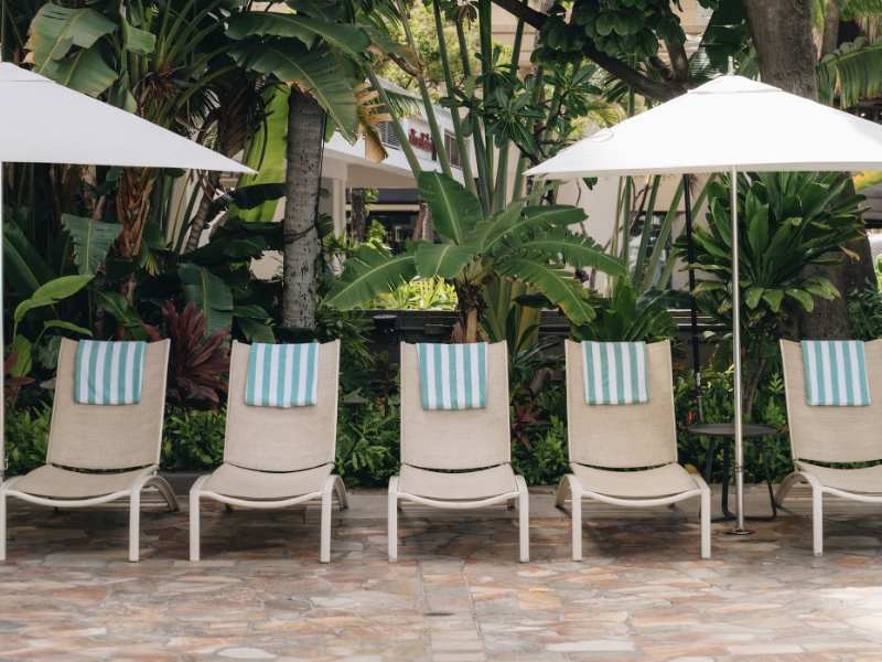 Shaded Lounge Chairs