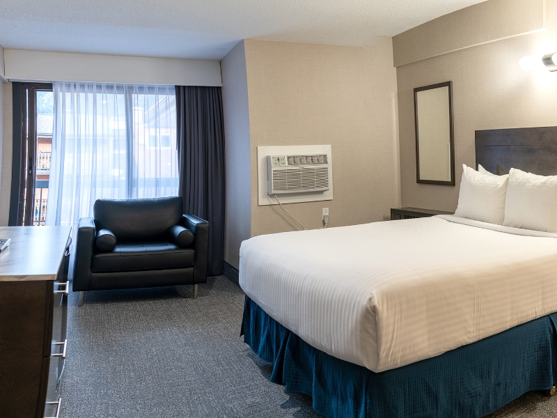 Standard Room 1Queen