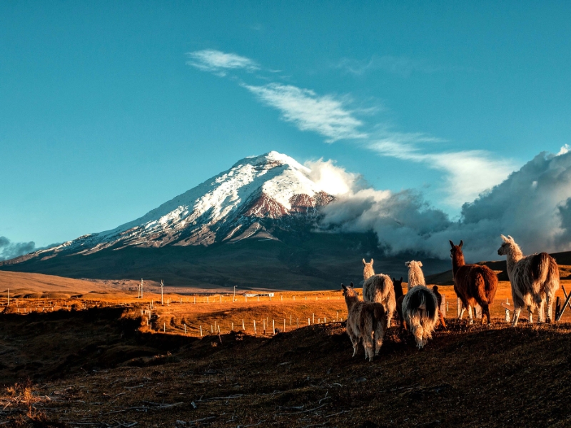 Cotopaxi National Park