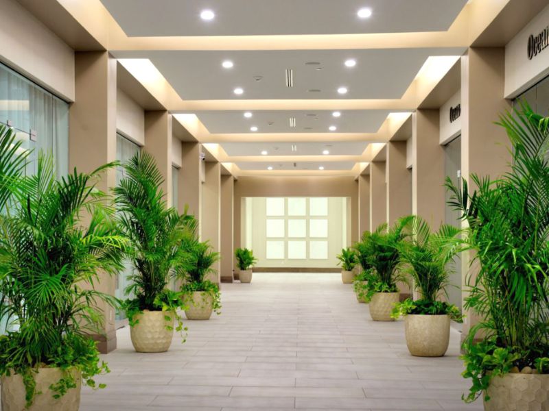 Lobby Hallway Shops