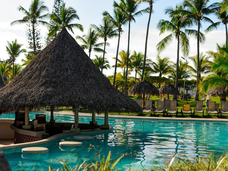 Pool and Pool Bar