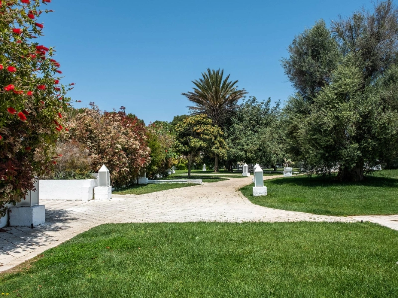 Garden