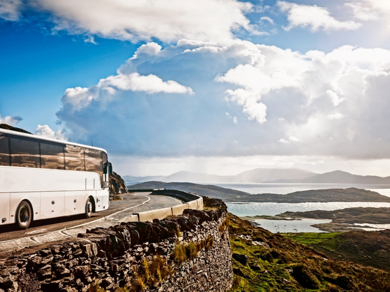 White Bus