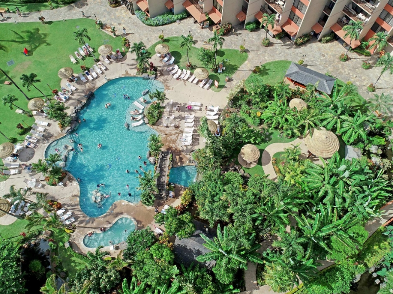 Pool Garden