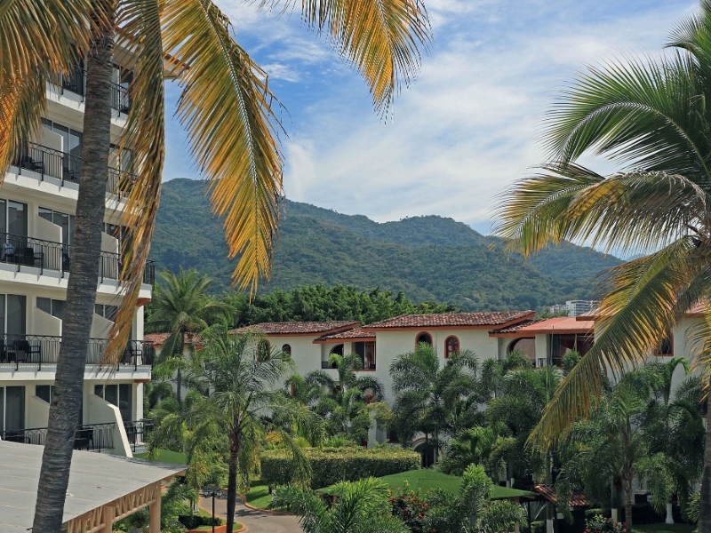 Panoramic