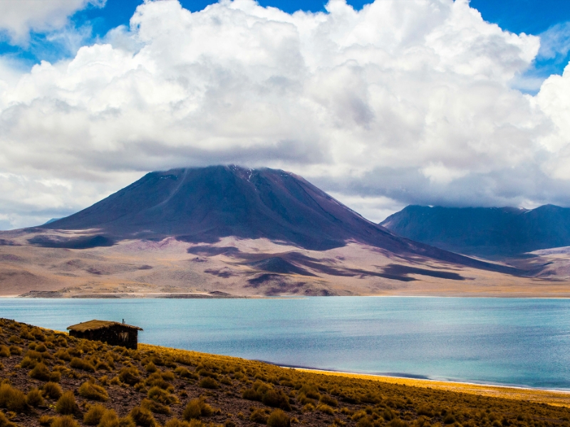 Altiplanic Lagoons