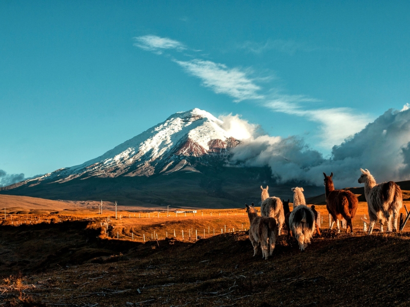 Cotopaxi National Park