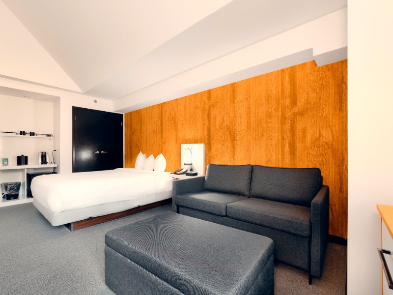 Deluxe Studio Queen bed and Sofa bed