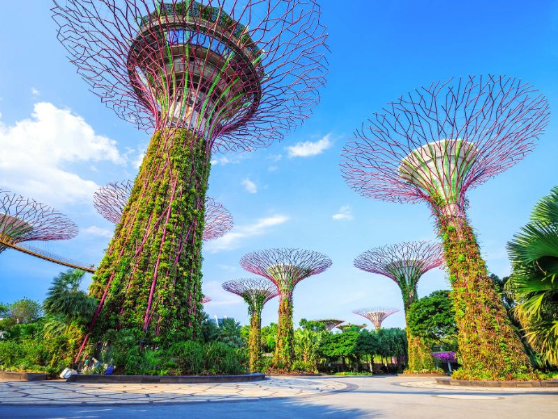 Gardens by the Bay