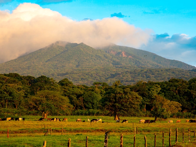 Rincon de la Vieja