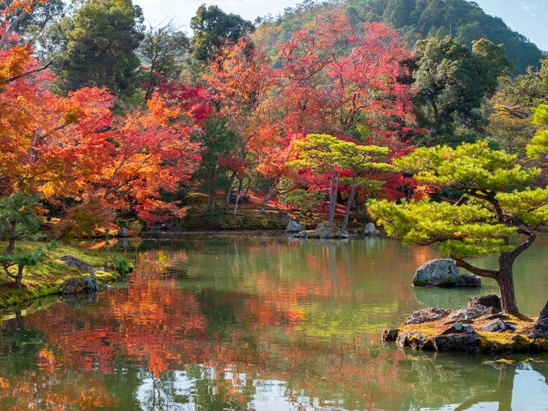 Kinkakuji Kyoto