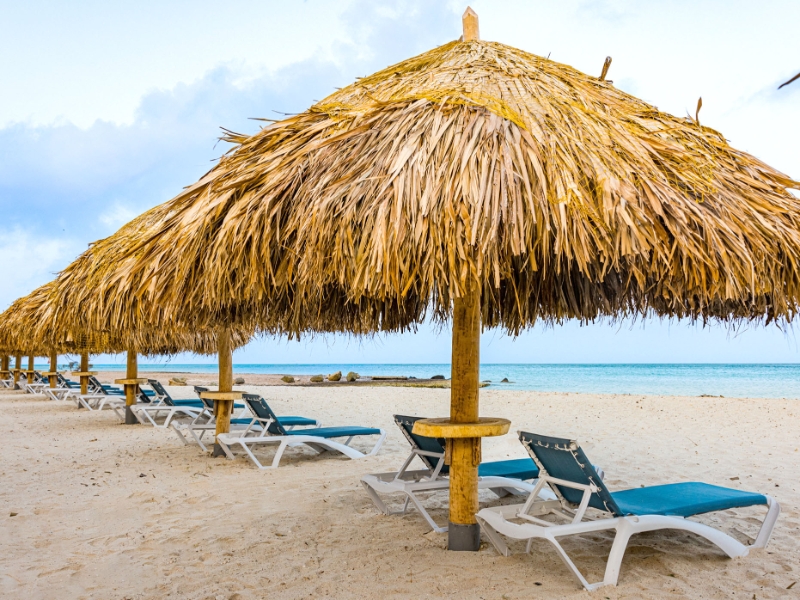 Beach Palapas