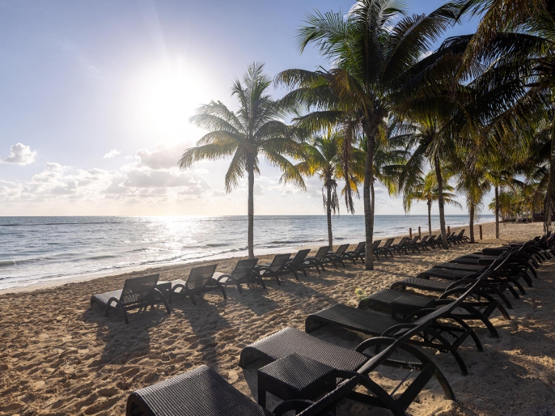 Beach Area