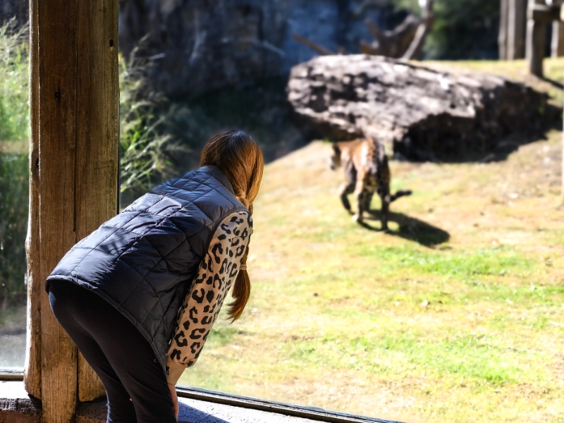 Zoo Sydney