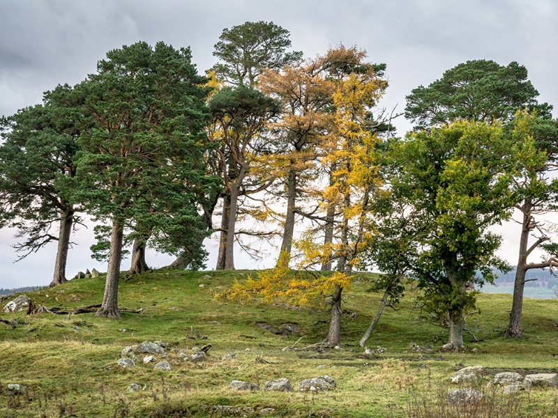 Kinloch Rannoch series location Craigh na Dun