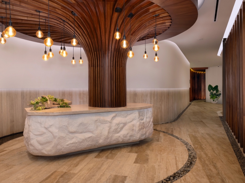 Spa Reception