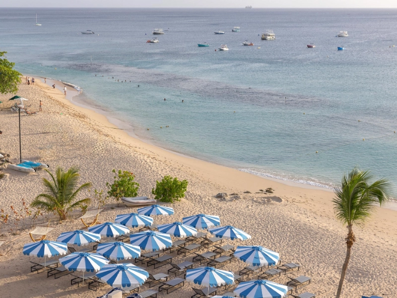 Beach Aerial View
