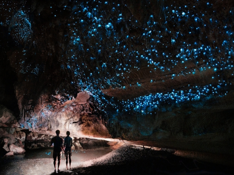 New Zealand Worm Cave