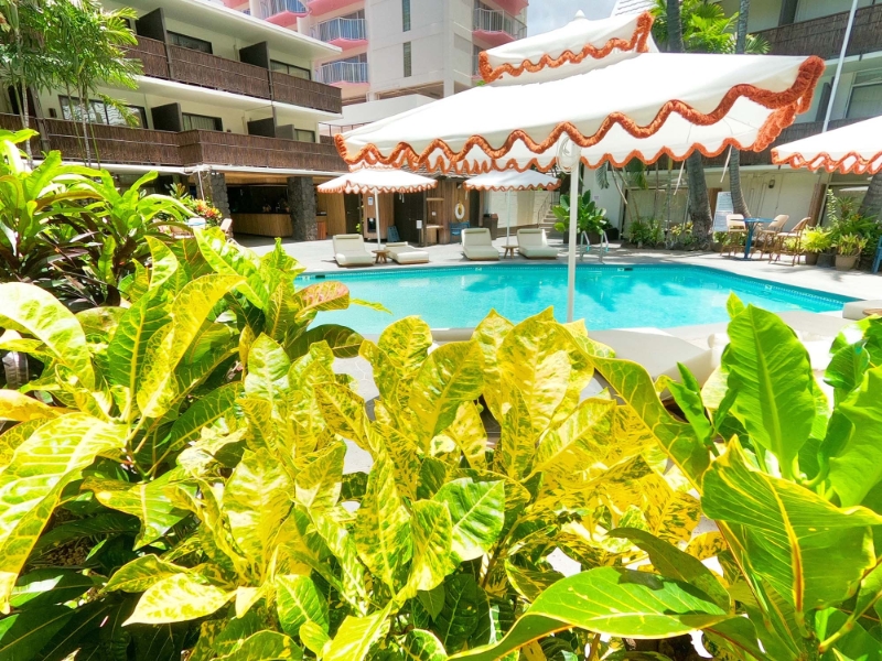 Pool Courtyard