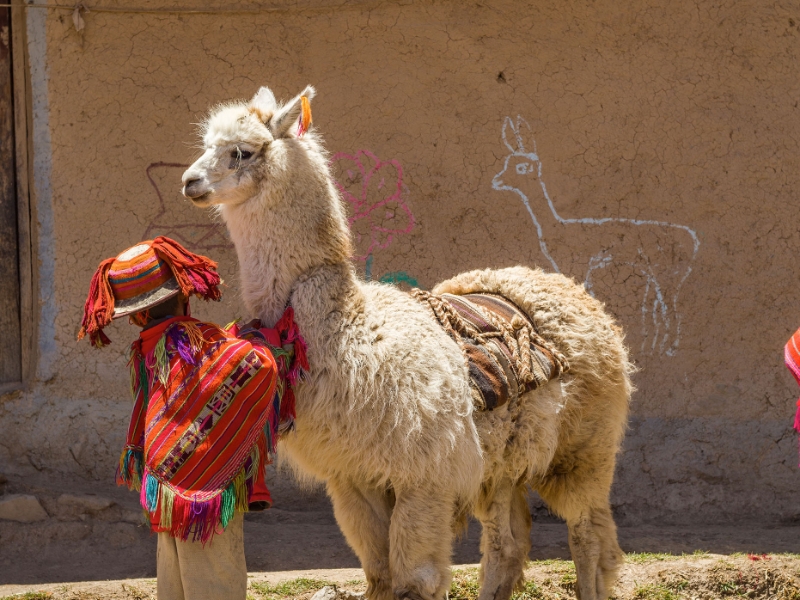 Cusco