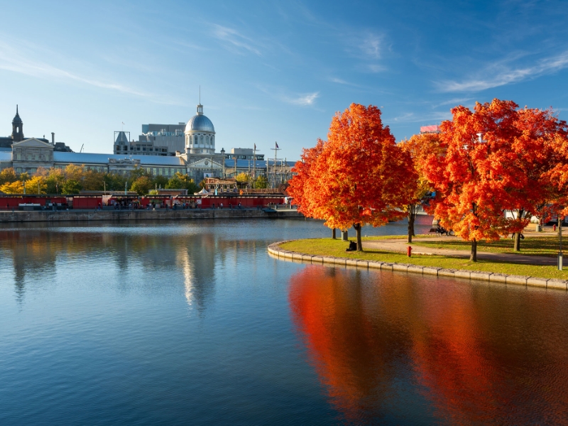 Montreal old port