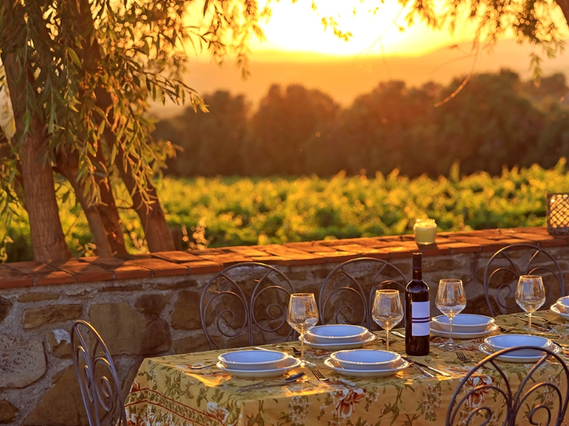 Vineyard Tuscany