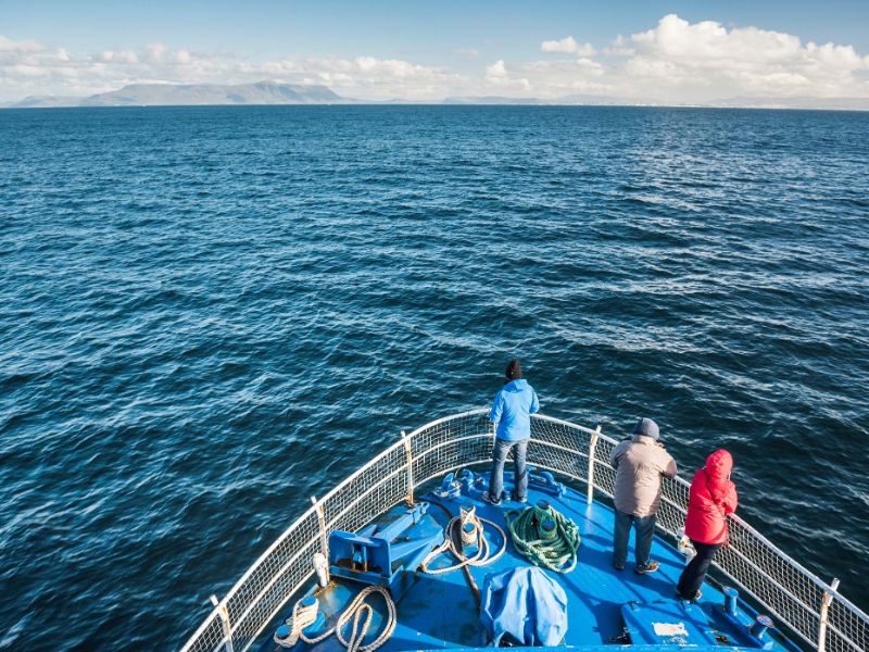 Whale Watching
