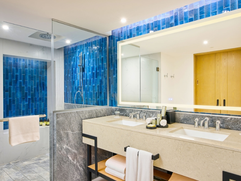 Master Double King Room Bathroom