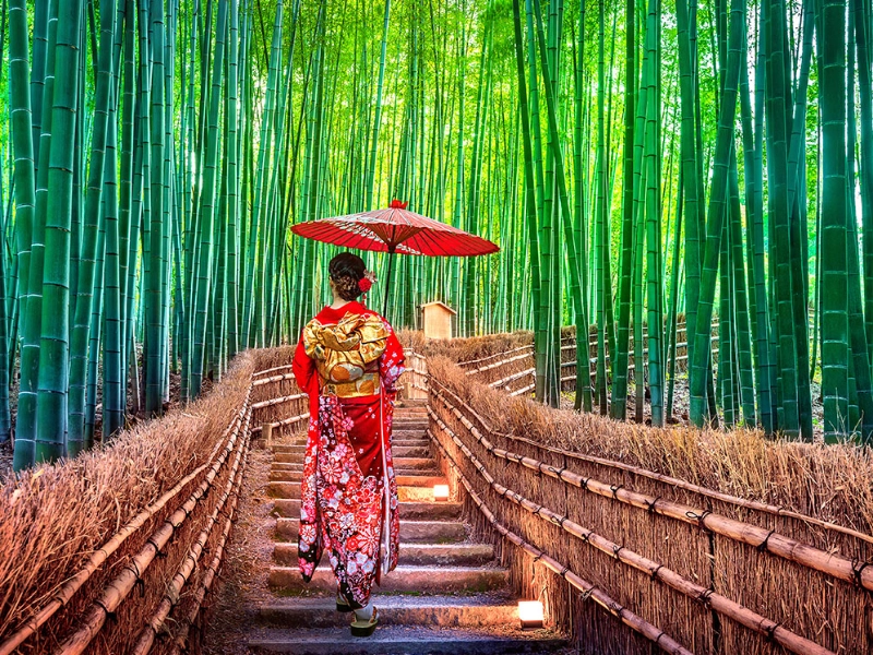 Kyoto Japan