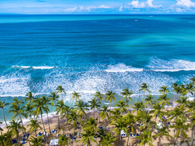 Beach Aerial View