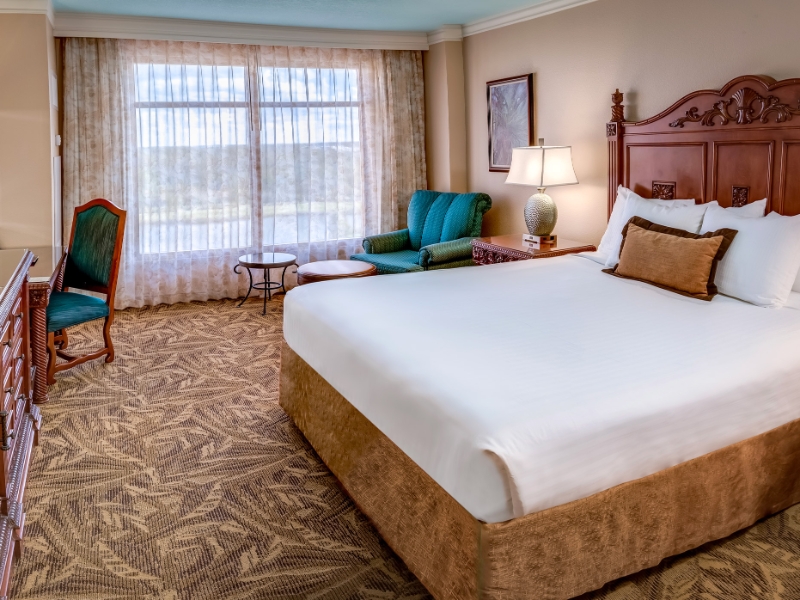 One King Bedroom