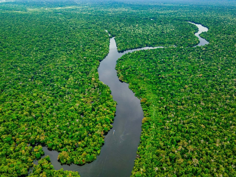 Ecuadorian Amazon