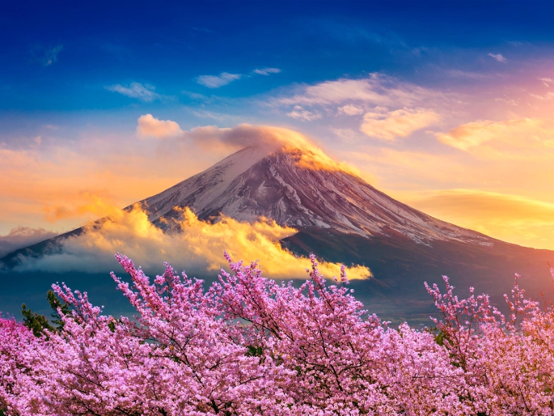 Fuji