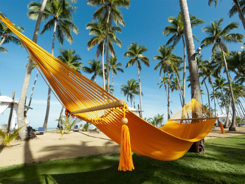 Beach Hammock